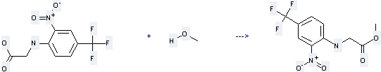 2-[[2-Nitro-4-(trifluoromethyl)phenyl]amino]acetate can react with Methanol to get (2-Nitro-4-trifluoromethyl-phenylamino)-acetic acid methyl ester.
